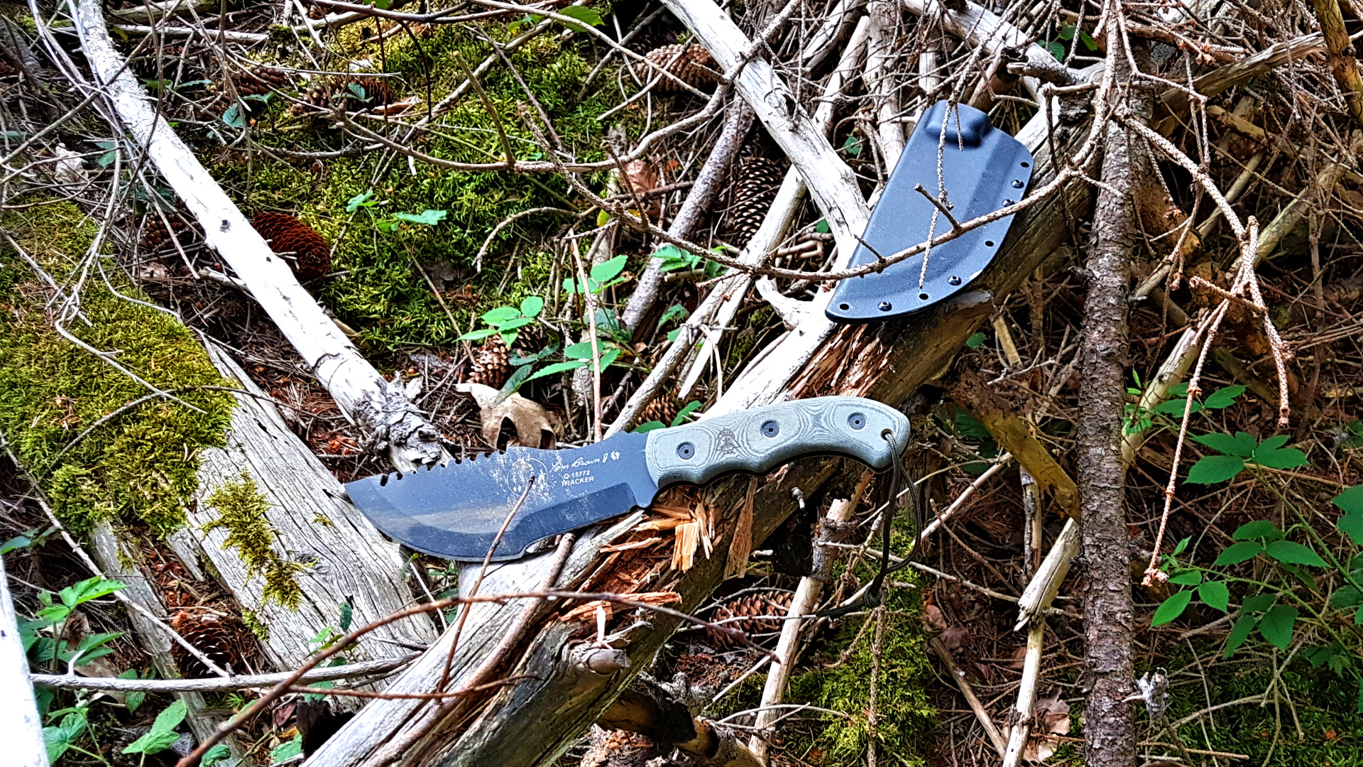 Haller Jagdmesser 12cm Klinge Messer für Jäger Outdoormesser Pakkaholz 84473 